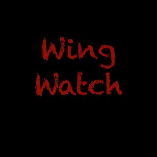 Wing Watch Episode. 1 - The Pilot