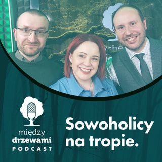 Między Drzewami #57 Sowoholicy na tropie 2/2 [Rafał Śniegocki, Michał Wieciech]