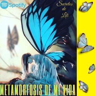 METAMORFOSIS DE MI VIDA audiolibro