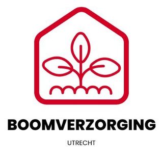 Boomverzorging Utrecht