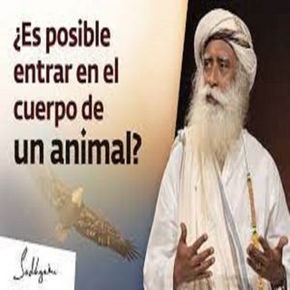 Chamanismo: Cómo Entrar en el Cuerpo de un Animal | Sadhguru