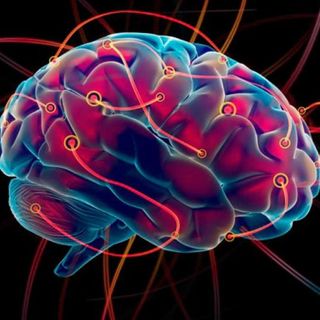 Podcast ‐ Neurociencia ¿Por qué es importante?