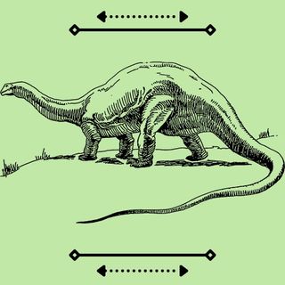 #Sarnano Qual è il tuo dinosauro preferito?