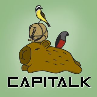 Capi - Talk