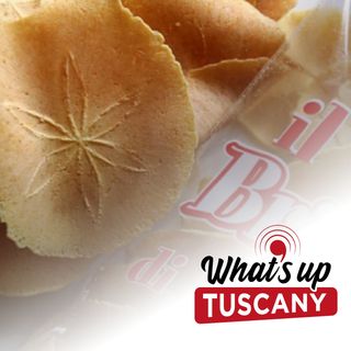 Tutti pazzi per i brigidini - Ep. 113