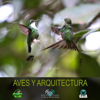 NUESTRO OXÍGENO Aves y arquitectura - Arq. Alvaro Mercado-Marcela-Raul Nieto