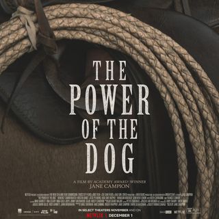 The Power of the Dog - Movie Review