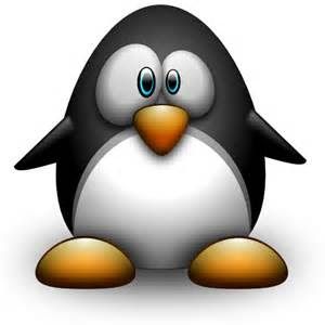 P'tit Pingouin