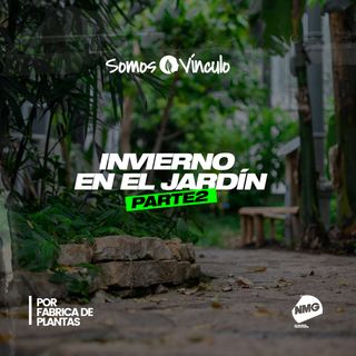 Invierno en el jardín - Parte II