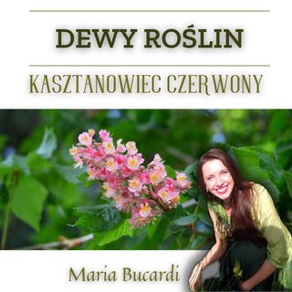 Dewy Roślin - Kasztanowiec czerwony - nadwrażliwość nadmierna troska | Maria Bucardi
