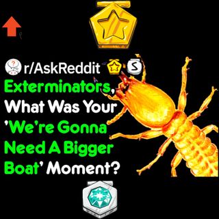 Bug exterminators of Reddit, what was your "we gonna need a bigger boat" moment ?