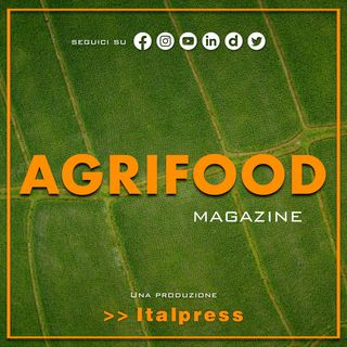 Agrifood Magazine - 5/7/2022