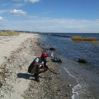 Mouctar