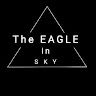 The eagle in sky