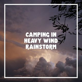 Camping In Heavy Wind Rainstorm | 1 Hour Rain Sound
