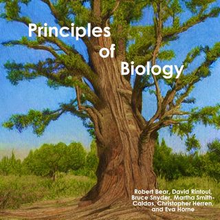 Chapter 5. The Scope of Ecology