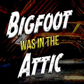 We Think Bigfoot was in the Attic