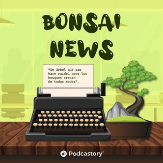 BONSAI NEWS