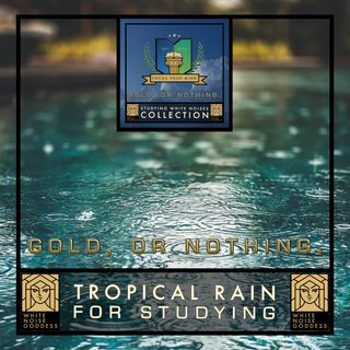 Tropical Rain Soundscape For Studying | Concentration | Deep Focus