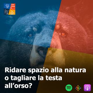 73 - Ridare spazio alla natura o tagliare la testa all'orso?