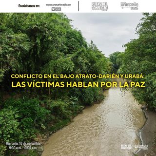Conflicto en el Bajo Atrato-Darién y Urabá:  Las víctimas hablan por la paz