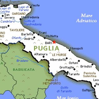 Puglia notizie 29 novembre