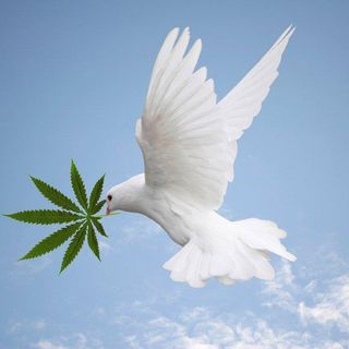 Veterans Voices - 10-13-16