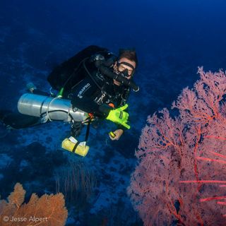 Stoa Scleractinia Ep3 Part 6 The advantages of using closed circuit rebreathers (CCR) for diving activities