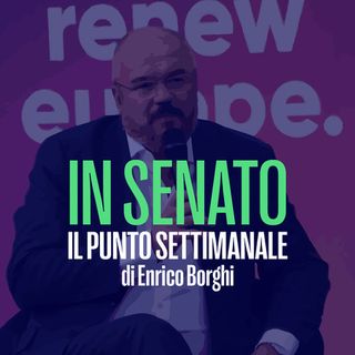 In Senato - Il punto settimanale di Enrico Borghi a cura di Carmine Abate del 11 Gennaio 2024