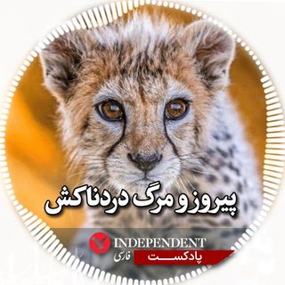 پیروز و مرگ دردناکش