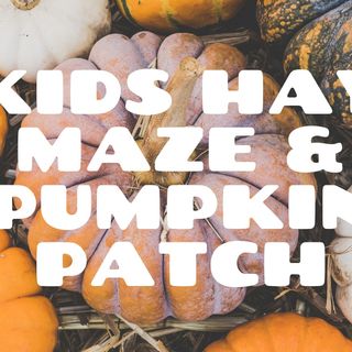 Kids Hay Maze & Pumpkin Patch!