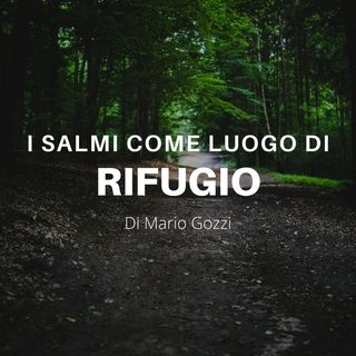 I Salmi come luogo di rifugio - Mario Gozzi