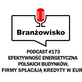 Branżowisko #173 - Efektywność energetyczna polskich budynków. Firmy spłacają kredyty w euro