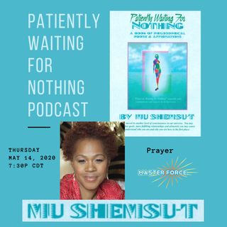 Patiently Waiting for Nothing Podcast #9 - Mu Shemsu-t