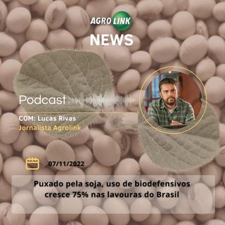 VBP da agropecuária paranaense cresceu 5% ao ano entre 2012 e 2021