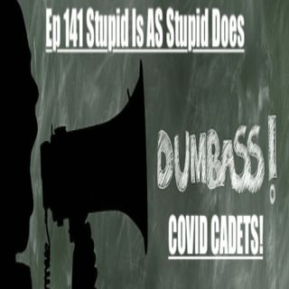 141. Stupid Is  As Stupid Does