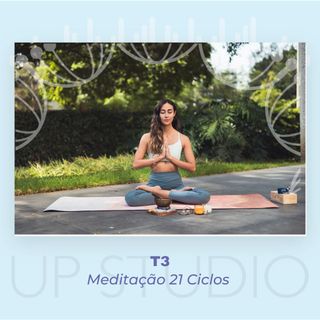 T3 Meditação 21 Ciclos