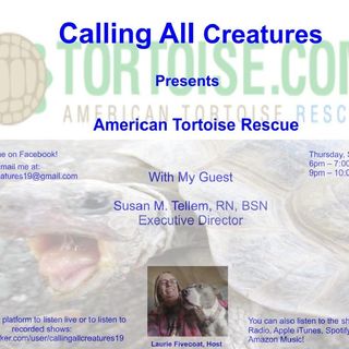 Calling All Creatures Presents American Tortoise Rescue