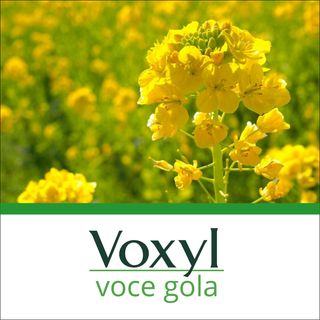 L'Erisimo, un aiuto naturale per il tono della voce