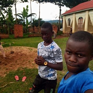 Little Show