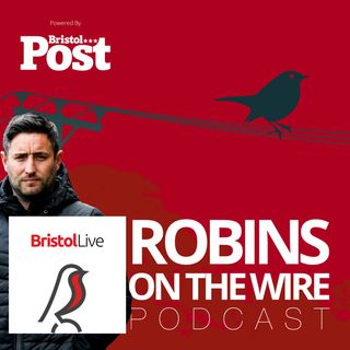 Robins on the Wire