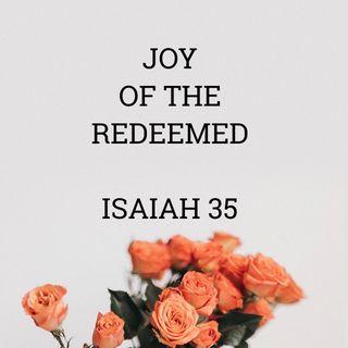 Joy of the Redeemed **NEW**