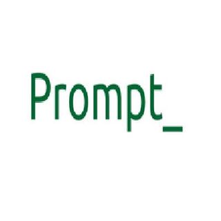 Our Software to Work with Real | Prompt Global Corporation