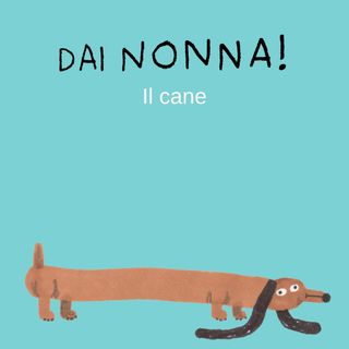 Il cane - sesta serie