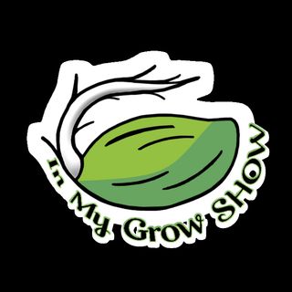 Ep. 138:  Iron deficiency