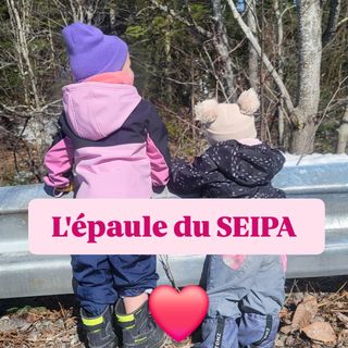 L'épaule Du SEIPA