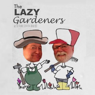 The Lazy Gardeners