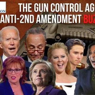 Ep 78 - The Gun Control Agenda's Anti-2nd Amendment Buzzwords