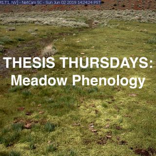 William Richardson - Meadow Phenology EP2