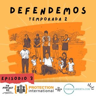 T2. E3: Dos años de la tutela por el derecho a defender los DD.HH. en Colombia